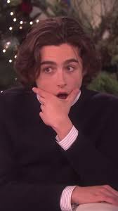 lil timmy tim #timothée #timotheechalamet