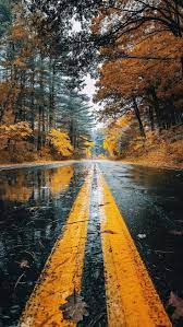 Autumn Road Rainfall Trees Android Wallpaper Nature Wallpaperideas Road Android Autumn Nature Rainfall Road Tr Fotografi Alam Gambar Alam Pemandangan