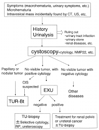 The urinary tract cancers are very aggressive and very sutil at the beginning so every hematúria must be investigated and ruled out as urinary cancer. Algorithm For Diagnosis Of Bladder Cancer Exu Excretory Urography Download Scientific Diagram