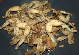 Cuisses De Grenouille Aux Champignons Amafacon Cuisse De Grenouille Cuisine Grenouille
