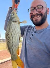 Carp fishing action with a double takedown