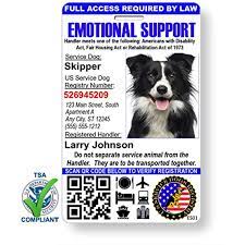Pin On Dog Id Tags