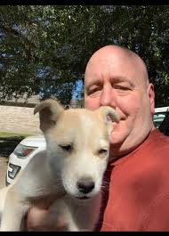 My heart goes out to Bailey's family 💔🐾 Losing a beloved Husky is never  easy. Bailey was so loved and will always be remembered. Run free over the  rainbow bridge, sweet girl