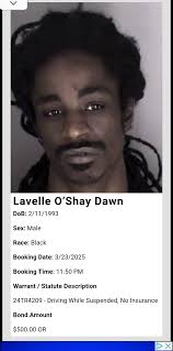 Daily bookings for 03/23/2025.