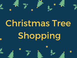 Maybe you would like to learn more about one of these? Quick Guide For Christmas Tree Shopping In Holiday Season