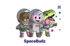 Spacebudz New Astronaut Nfts On Cardano The Bitcoin Street Journal