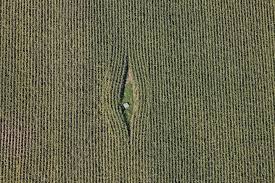 Birds Eye View Photography Easy Beautiful Bird S Eye View Photography Birds Eye View Photography Aerial Photography Aerial Photograph