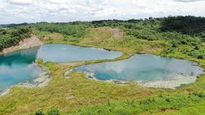 Dinamika kajian ekologi integratif, dalam membangun pola pembangunan yang berkelanjutan. Menanti Kajian Lingkungan Hidup Di Wilayah Ibukota Baru Mongabay Co Id