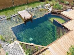 Naturlichen Pool Der Swimmingpool Umweltfreundlich Wartungsfrei Tipps Zum Hausbau In 2020 Kleiner Pool Design Hintergarten Gartenpools