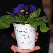 Every plant and flower has a meaning, find the one that best suits you and check out our shareable with so many different plants to choose from, we put together this ultimate guide of plants and their remembrance, love and fidelity. Remembrance Flower Pot Gift With Seeds By So Close Notonthehighstreet Com
