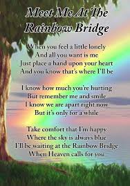 There is a bridge connecting heaven and earth. Lisa S Gifts Meet Me At The Rainbow Bridge Dog Pet Memorial Graveside Funeral Poem Keepsake Card Includes Free Ground Stake F396 Buy Online In Morocco At Desertcart Ma Productid 176203076