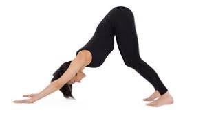 We did not find results for: 4 Common Misalignments In Downward Facing Dog And Tips To Avoid Them Doyou