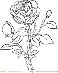 Rose Worksheet Education Com Rose Coloring Pages Coloring Pages Rose Stencil