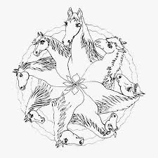 These little babies are really, really relaxing to color and are because of that a favourite amongst colorists. Animal Horse Mandala Colouring Pages Total Update