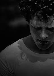 Rapport D'impact Terry Fox