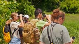 Guided Birding Hike - Fall Migration