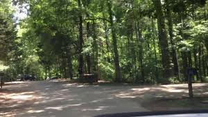 As far as the campground itself, it is a pretty basic campground that is out in the woods. Tims Ford State Park Winchester Tn Tennessee State Parks Rvpoints Com