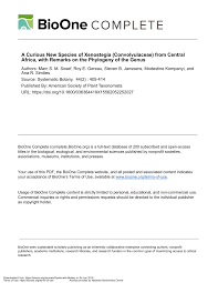 Image result for Xenostegia alatipes