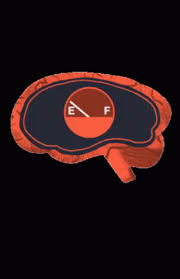 Brain Empty Gif Brain Empty Dumb Discover Share Gifs Gif Dumb And Dumber Cool Gifs