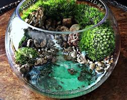 Large Bio Bowl Terrarium With Organic Woodland Plants Etsy Terrarium Bowls Garden Terrarium Terrarium