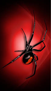 3d Spider Wallpaper Iphone 8 Iphonewallpapers Redwallpaper Redwallpaperaesthetic Redwallpaperiphone Redwallpapertumblr 2020 Resimler Soyut Resim Tablolar