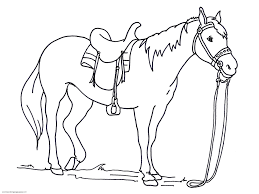 Check spelling or type a new query. Realistic Horse Coloring Pictures Novocom Top