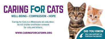 Because of the costs of transportation and stress on the cats, we. Caring For Cats Home Facebook