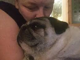 Missing my 8-year-old hound dog who passed away