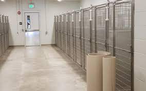 2150 linden blvd, brooklyn, ny, 11207. Animal Shelter To Open In Liberty Town Of Liberty