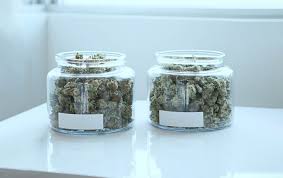 What To Expect During Your First Dispensary Visit