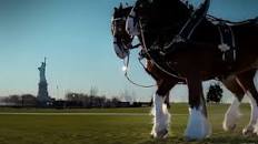 Image result for 9/11 super bowl