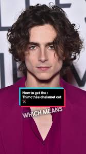 Timothy Chamlet Dreads