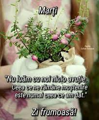 Bună Dimineața Prieteni Minunați O Zi De Marți Răcoroasă și Norocoasă Positive Vibes Quotes Vibe Quote Positive Thinking