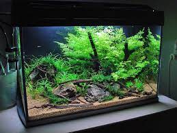 In creating your own aquascapes design, you can use these layouts as a guide and apply your own. Step By Step Naturesoil Layout Nr 1 Planted Aquarium Aquarium Fische Susswasseraquarium