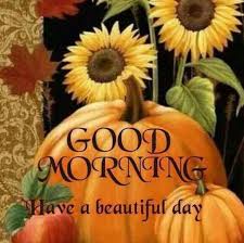 Good Morning Have A Beautiful Day Pumpkin Greetings Good Morning Good Morning Greeting Good Mornin Good Morning Beautiful Good Morning Greetings Morning Quotes