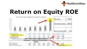 This is because there is uncertainty as to whether. Return On Equity Ratio Roe Formula Examples Calculate Return On Equity Youtube
