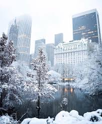 Maybe you would like to learn more about one of these? Central Park New York And Merry Christmas Image 6720610 On Favim Com