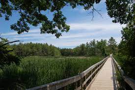 Little cataraqui conservation area