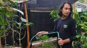 Grup whatsapp konsultasi & diskusi. Berkebun Di Rumah Cara Berhemat Belanja Di Tengah Pandemi Suara Riau