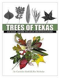 There is also a glossary of terms and a tree age estimator tool. Trees Of Texas An Easy Guide To Leaf Identification Volume 34 W L Moody Jr Natural History Series Stahl Carmine Mcelvaney Ria 9781603445153 Amazon Com Books