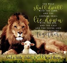 We did not find results for: Feast Of Tabernacles Church Of God Toledo