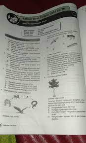 Klok yg ini apa ya jawabannya ini soal detik detik kls 6 2020 soal no 36 hal 191 brainly co id. Kunci Jawaban Detik Detik Kelas 6 Ipa