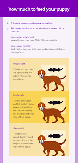 But what do you do if you've met your puppy's basic needs and he continues to cry and whimper? Not Sure How Much You Should Feed Your Puppy We Re Here To Help