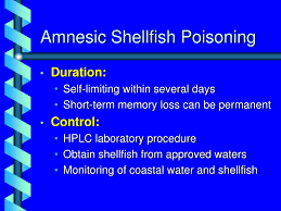 Image result for Amnesic Shellfish Poisoning