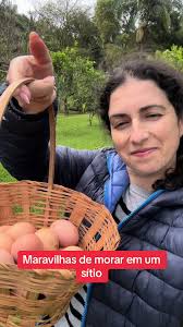 Ideias Para Embalar Ovos Caipira