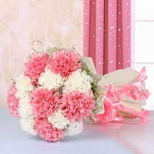 5 Fun Facts About Carnations Blog Myflowertree