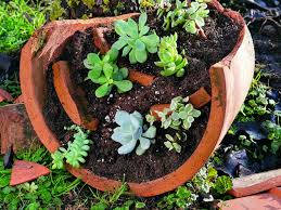 Bepflanzter Tonkubel Gartentipps Garten Pflanzen