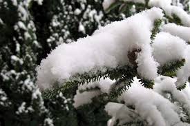 Mix Up Fake Snow For Authentic Looking Holiday Decorating How To Make Snow Christmas Tree With Snow Fake Snow