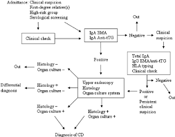 Flow Diagram Suggesting A Role For The Organ Culture System