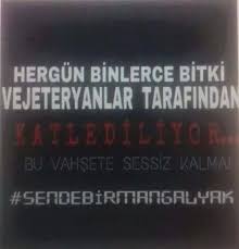 Sosyal Medya Kullanicilarini Dusunmekten Geceleri Uyutmayan 17 Efsane Duyar Komik Seyler Supernatural Komik Mizah Alintilari